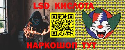 твердый Гатчина