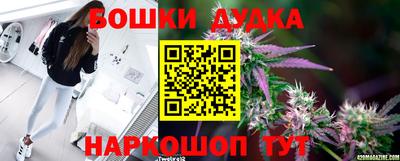 твердый Гатчина