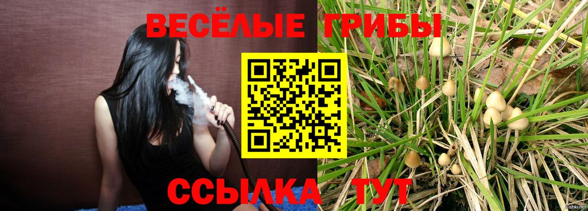 Галлюциногенные грибы мицелий  Долгопрудный 